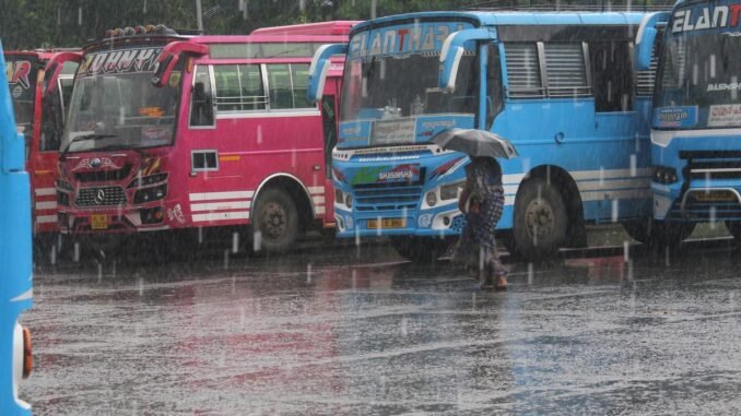 Houses damaged as trees fall on them in heavy rain in Thrissur