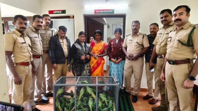 3 T.N. woman arrested in Idukki for attempt to sell 139 rose-ringed parakeets