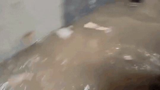 Watch: Ghaziabad hostel flooded as heavy rain swamps corridors – students struggle to gather belongings